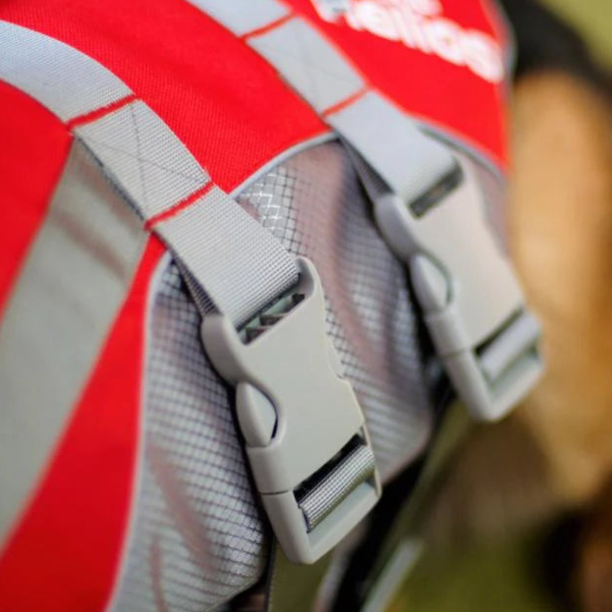 Gilet de sauvetage Premium pour chien