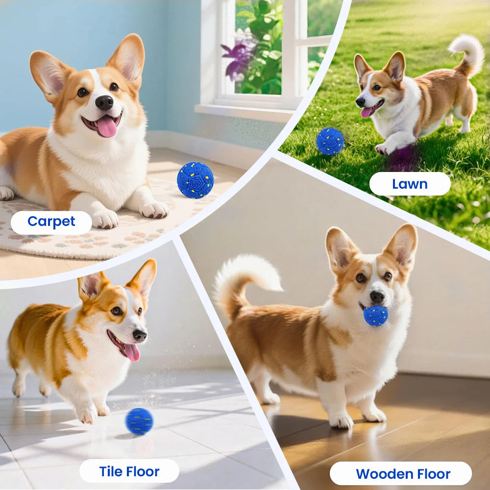 Balle interactive intelligente pour chien