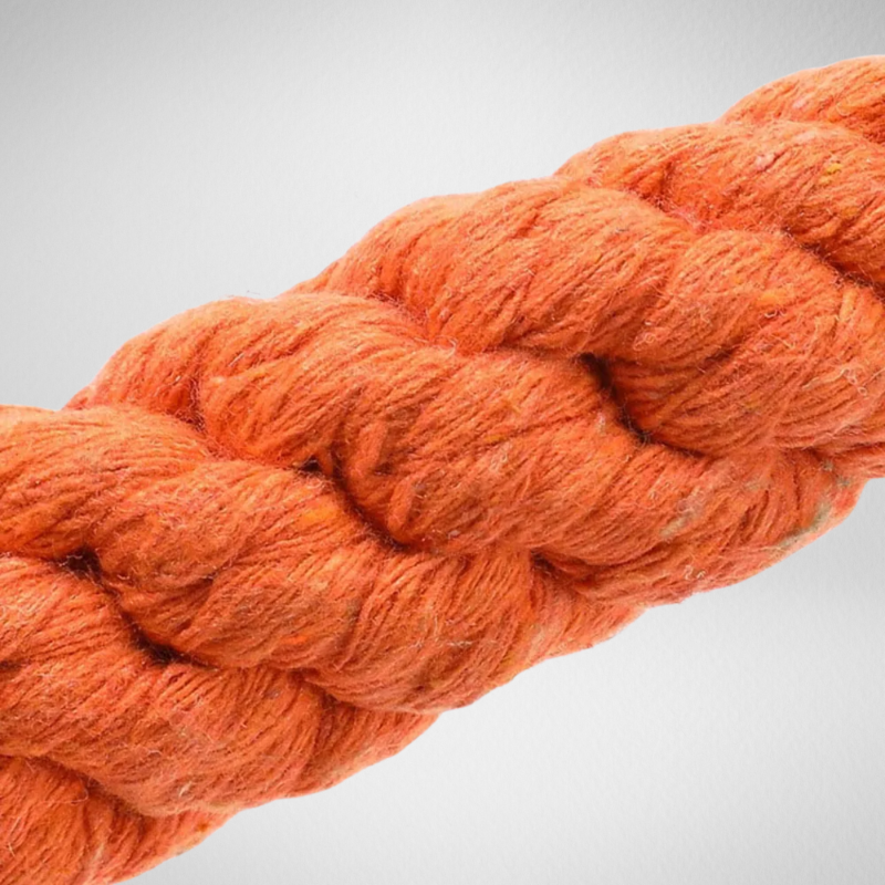 Carrot Rope Dog Toy