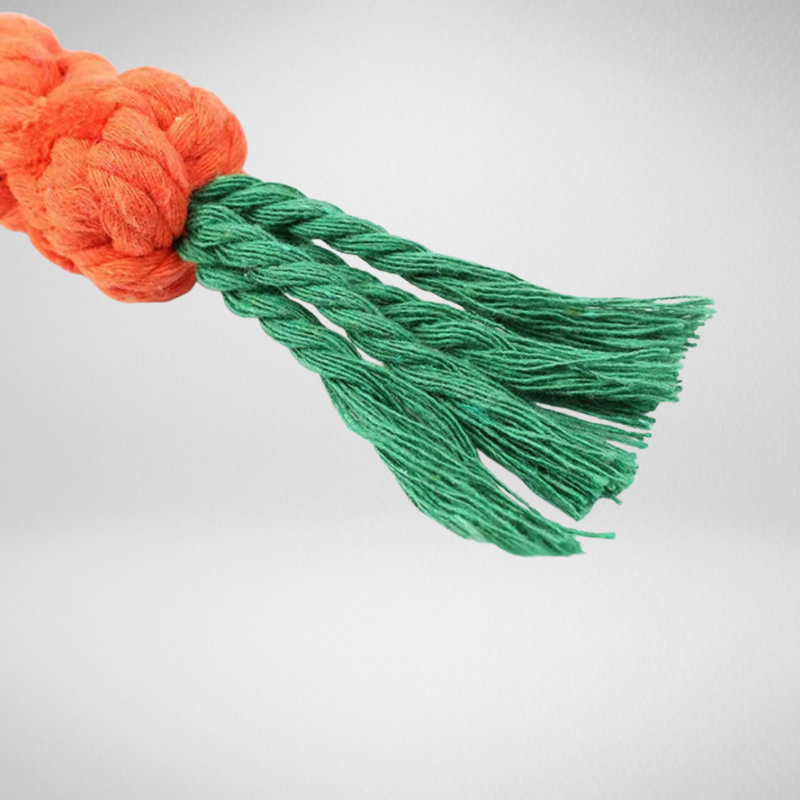 Carrot Rope Dog Toy