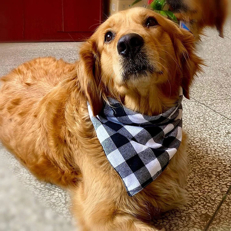 Cotton Plaid Dog Bandana