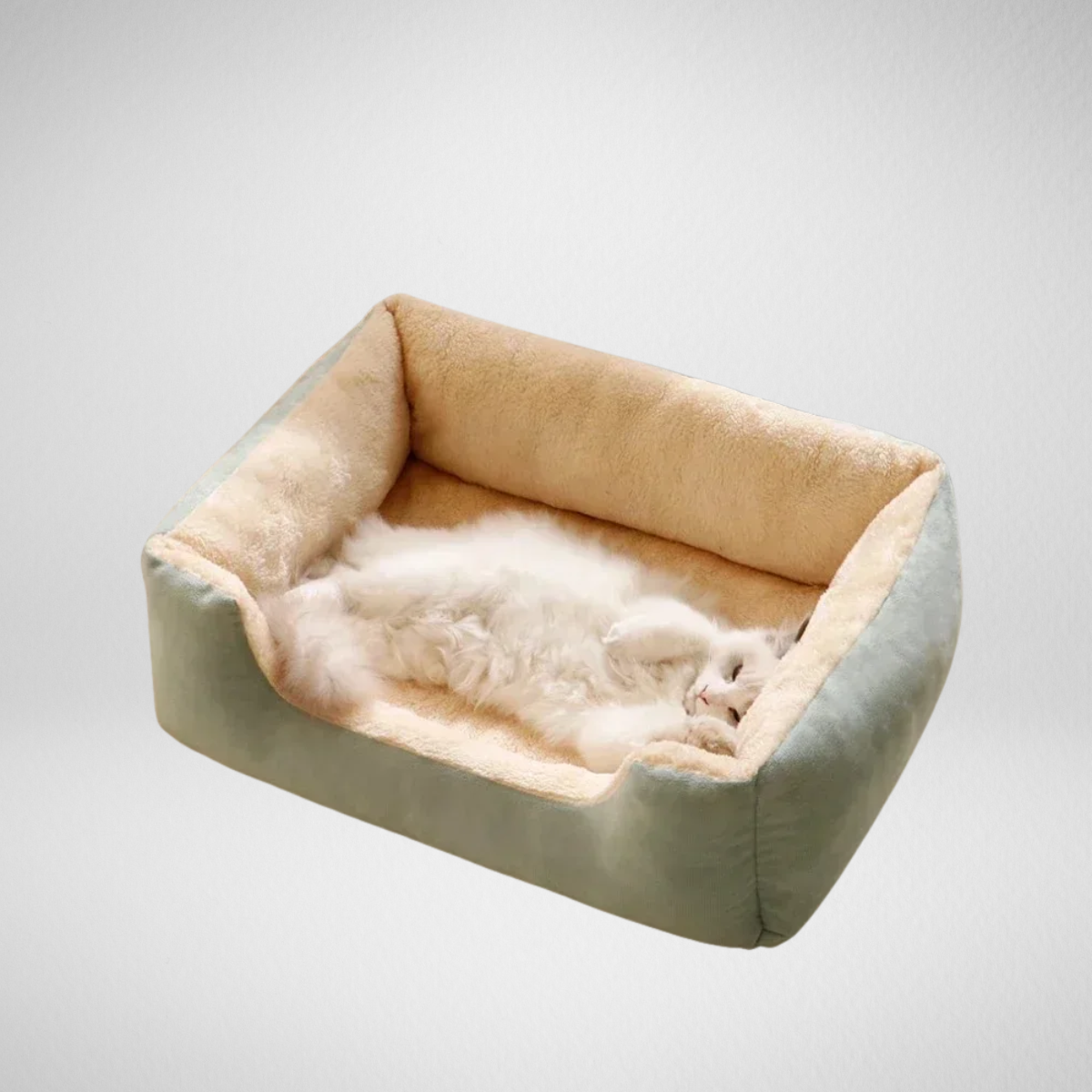 Cozy Cat Bed & Cushion