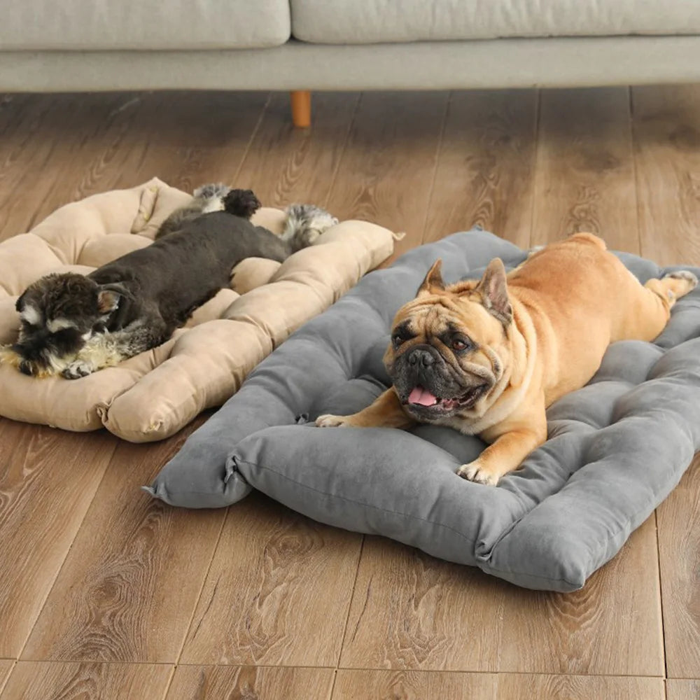 Lit multifonction 3 en 1 pour chien