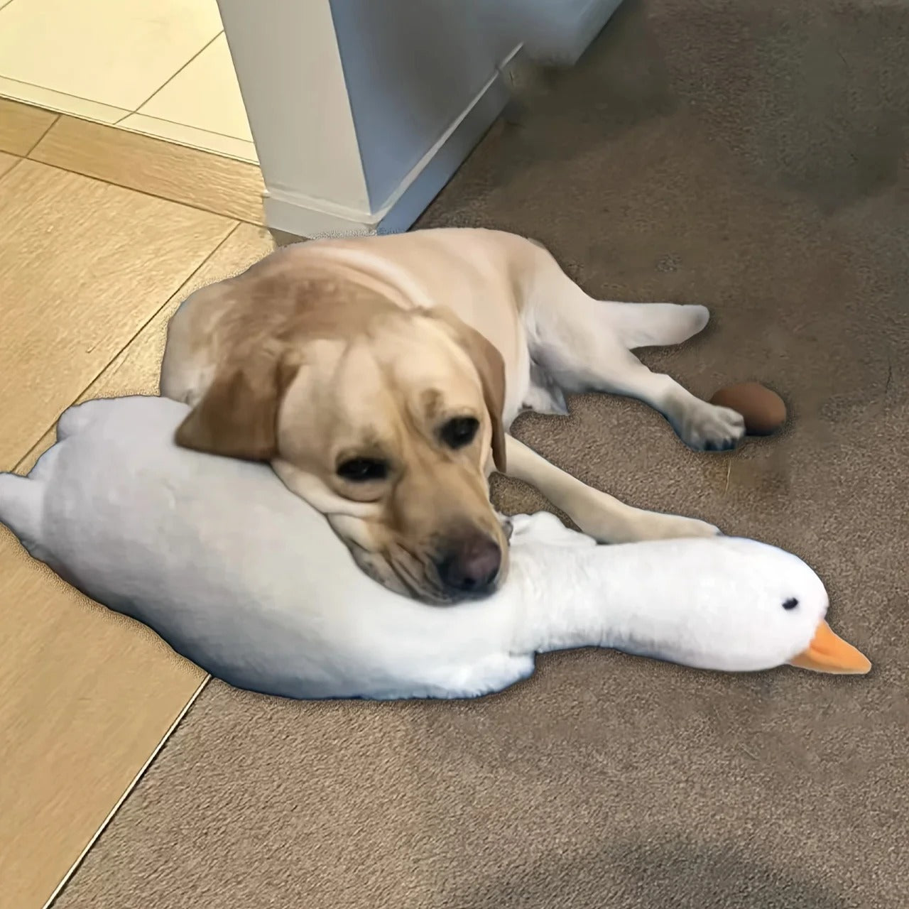 Large Plush Duck Dog Toy