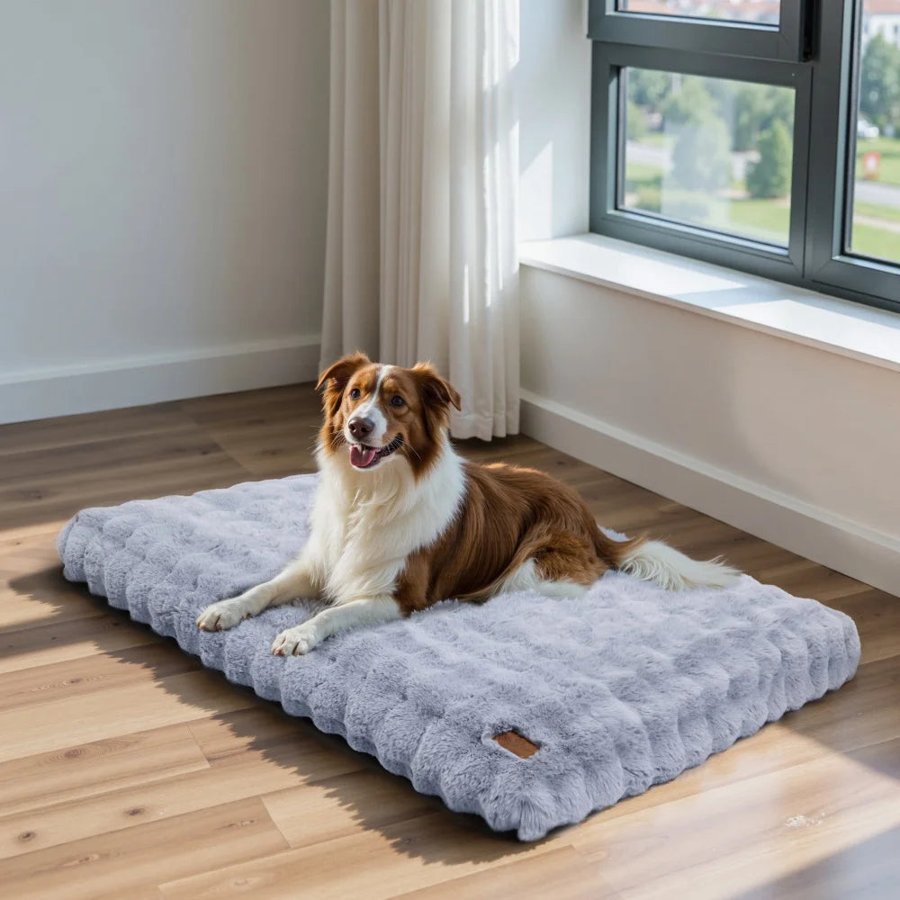 Plush Dog Bed