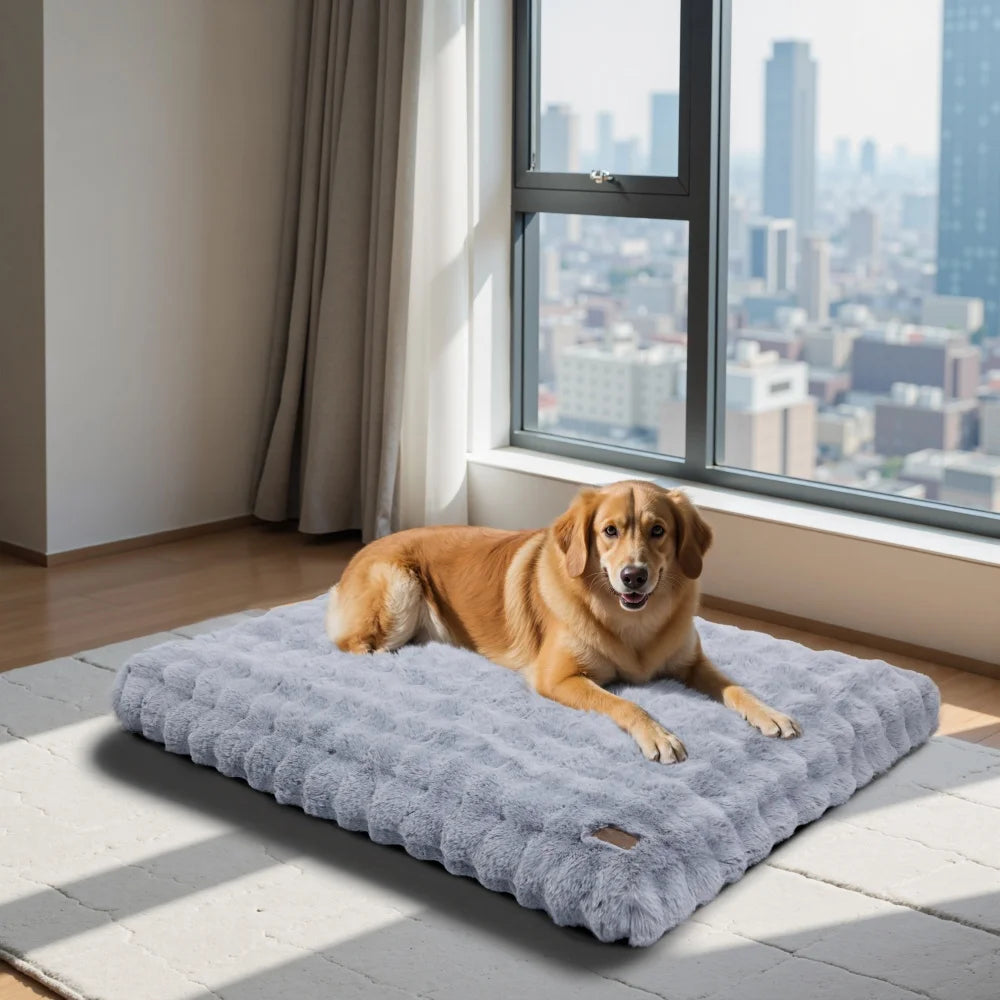 Plush Dog Bed