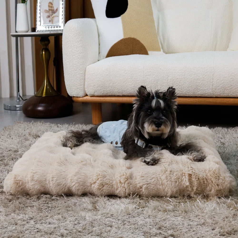Plush Dog Bed