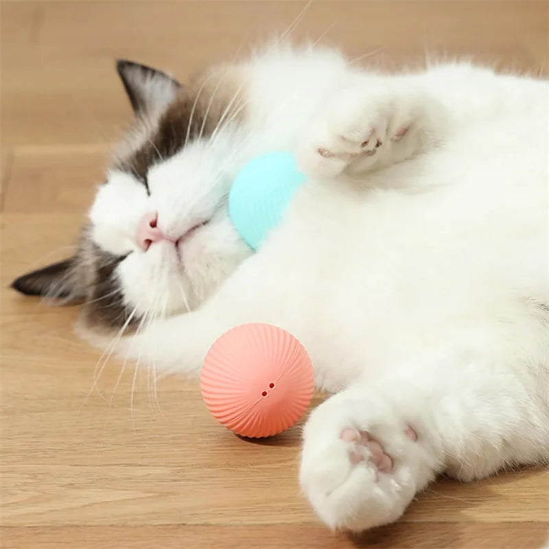 Balle intelligente pour chien