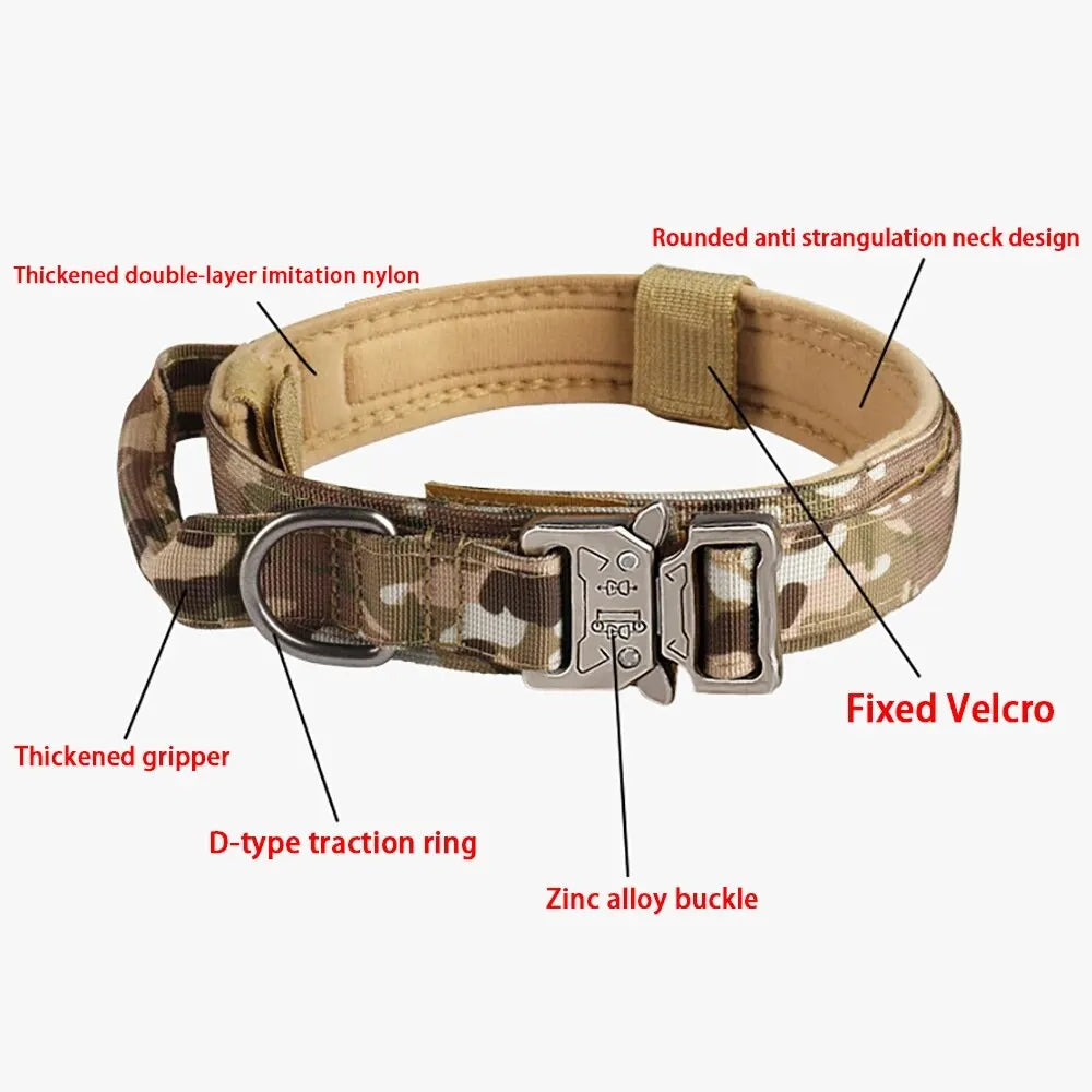 Collier tactique pour chien