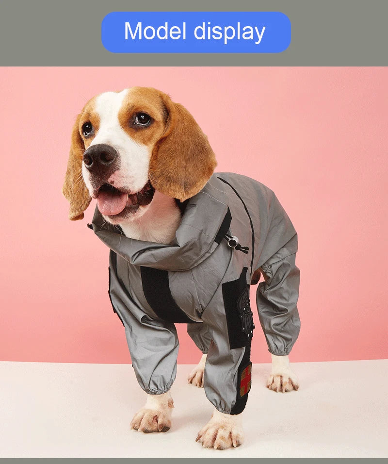 Grand imperméable pour chien