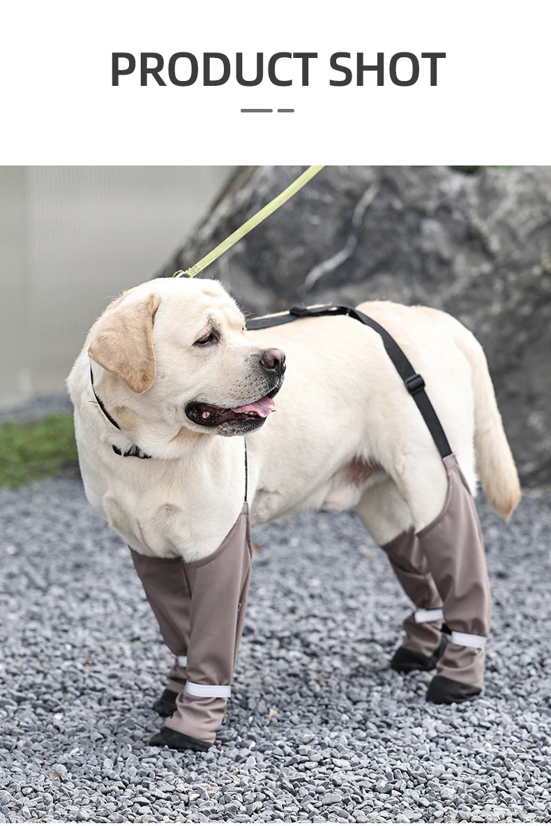 Chaussures imperméables pour chien