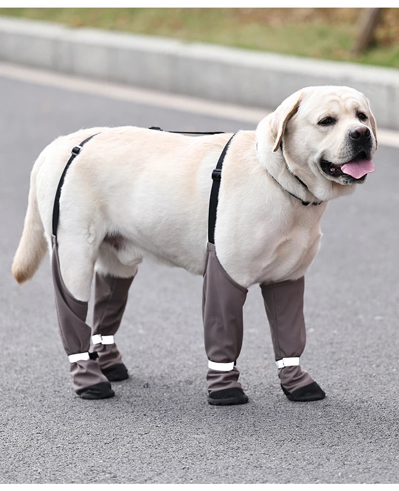 Chaussures imperméables pour chien