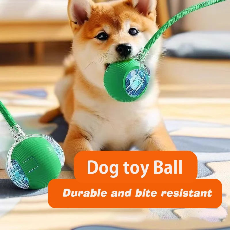 Balle sauteuse pour chien