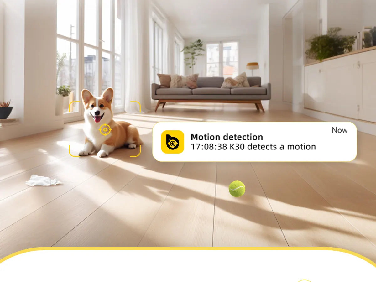 Caméra pour chien connectée