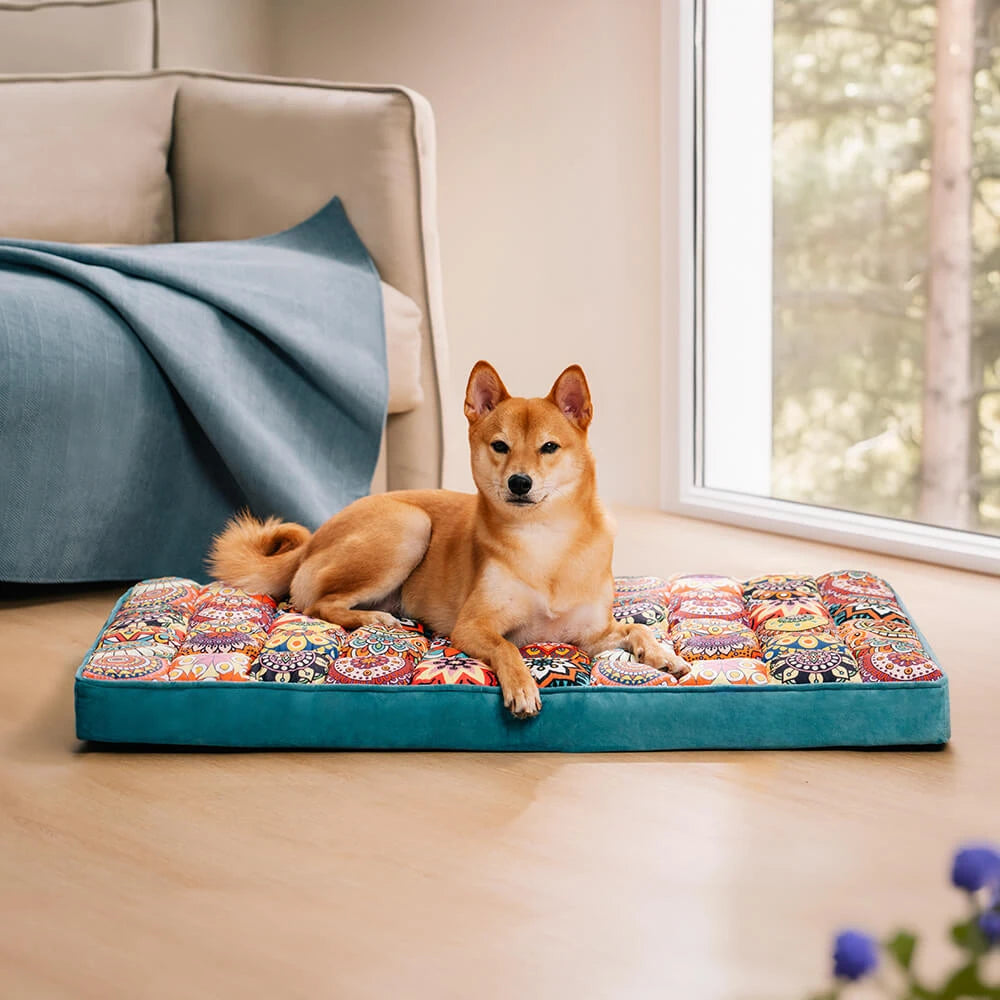 Panier orthopédique pour chien