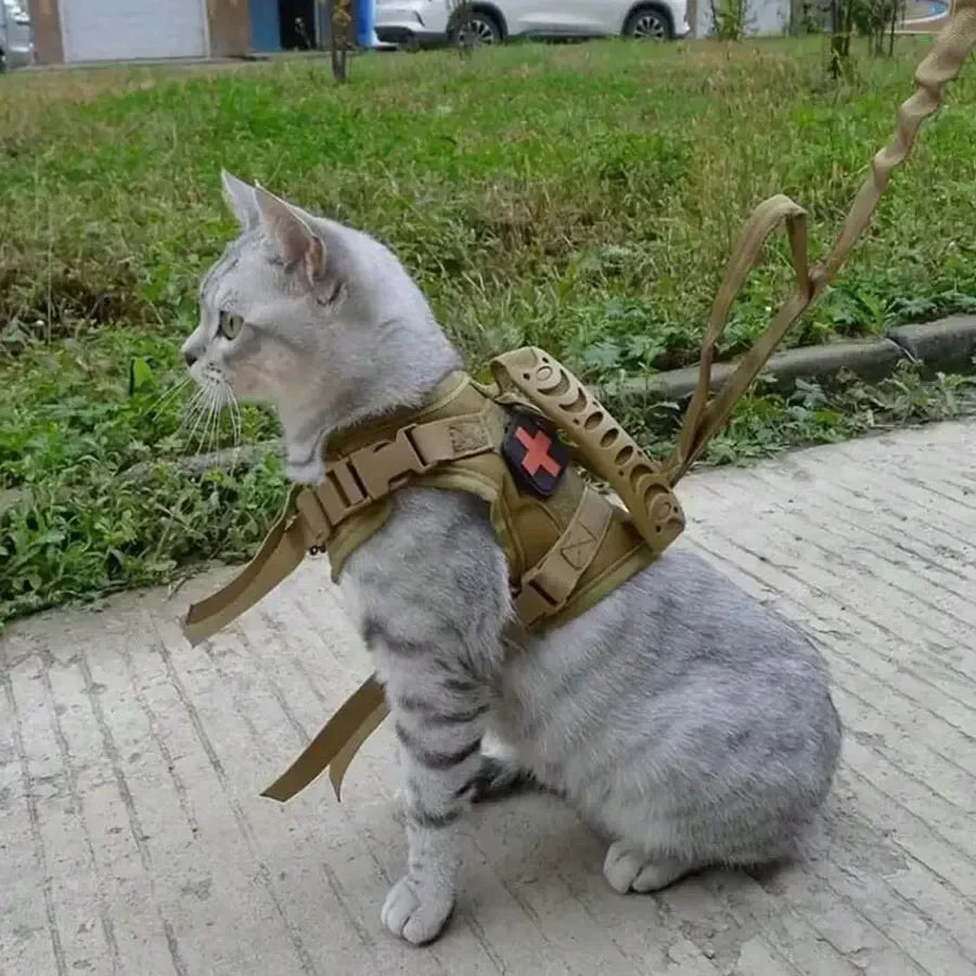 Tactical Cat Harness