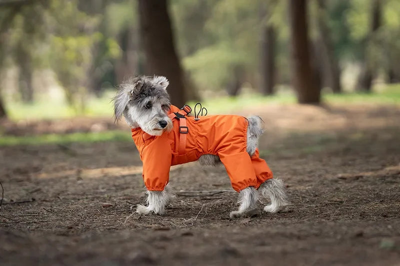 Imperméable avec harnais intégré pour chien