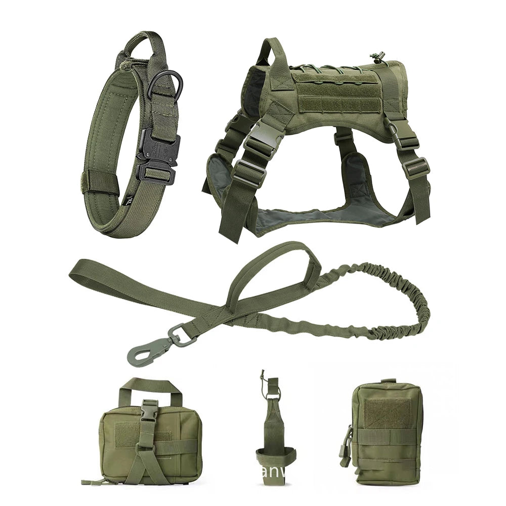Kit tactique pour chien