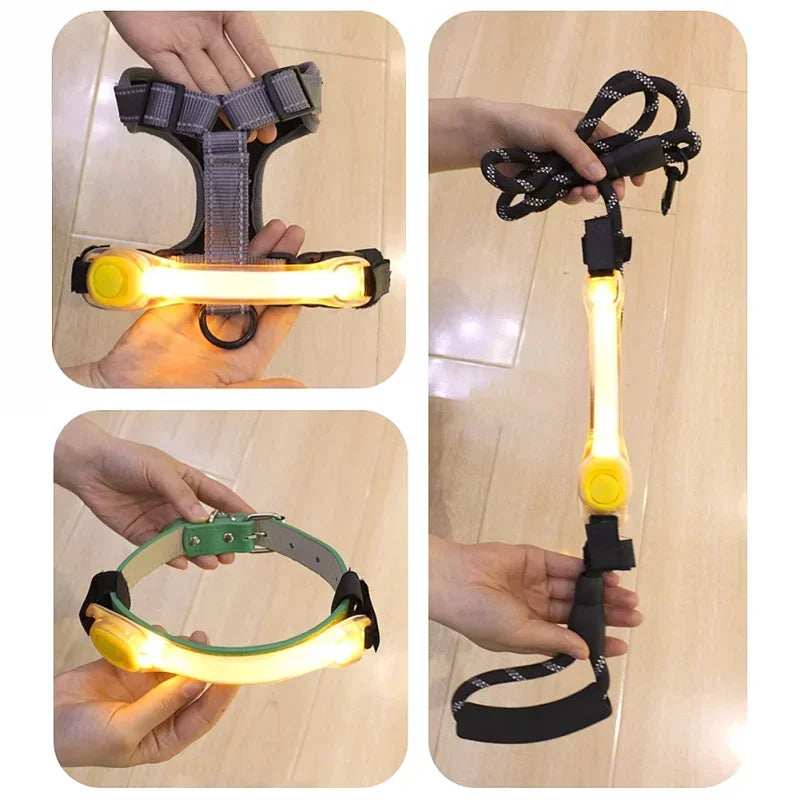 Glowing Dog Collar