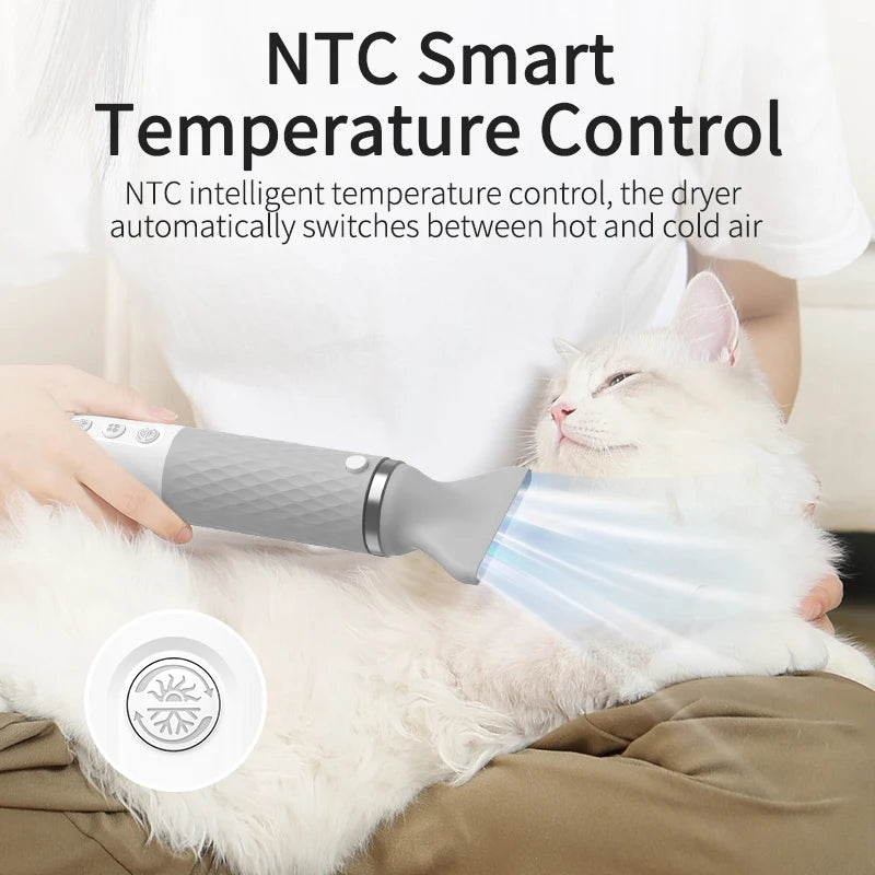 Sèche-cheveux et brosse de toilettage 2 en 1 pour animaux de compagnie