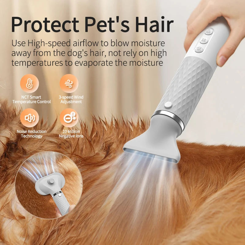 Sèche-cheveux et brosse de toilettage 2 en 1 pour animaux de compagnie