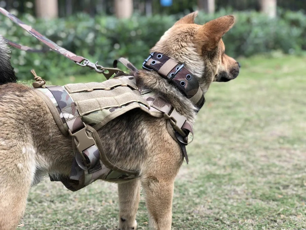 Kit tactique pour chien