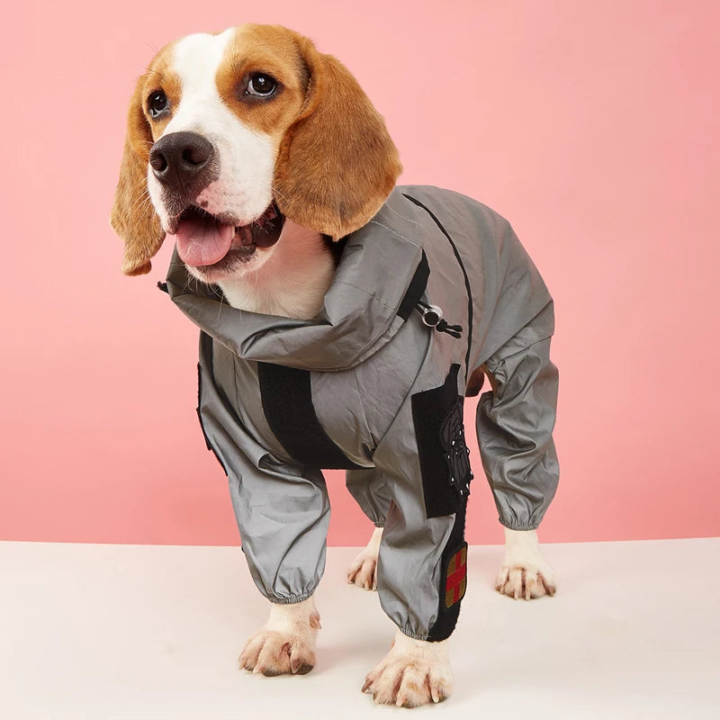 Grand imperméable pour chien