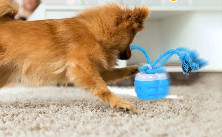 Balle avec corde pour chien