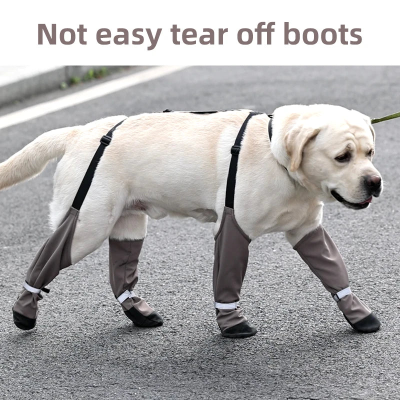 Chaussures imperméables pour chien
