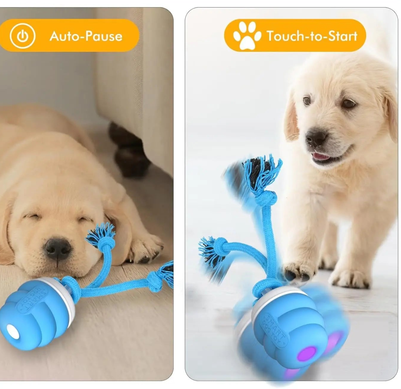Balle avec corde pour chien