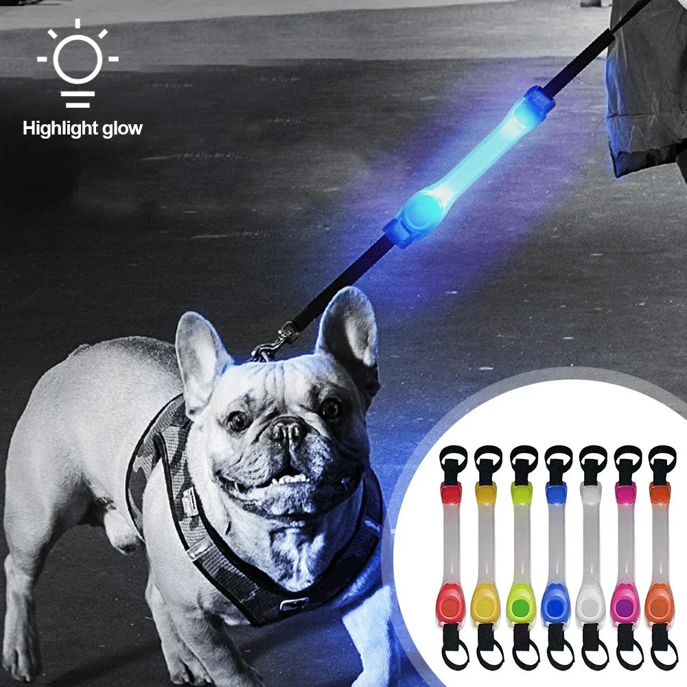 Glowing Dog Collar