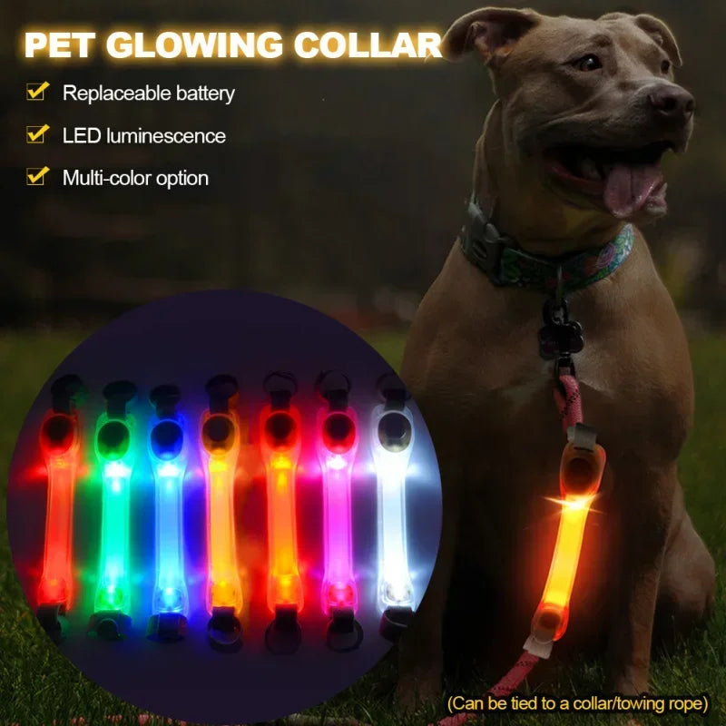 Glowing Dog Collar