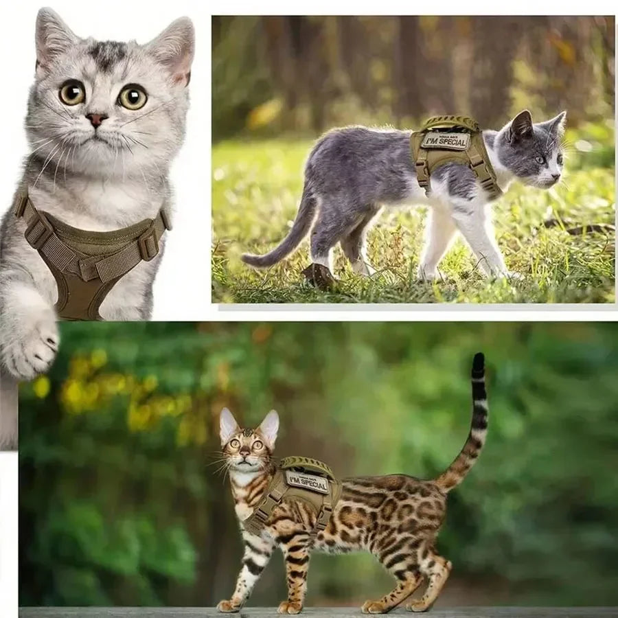 Tactical Cat Harness