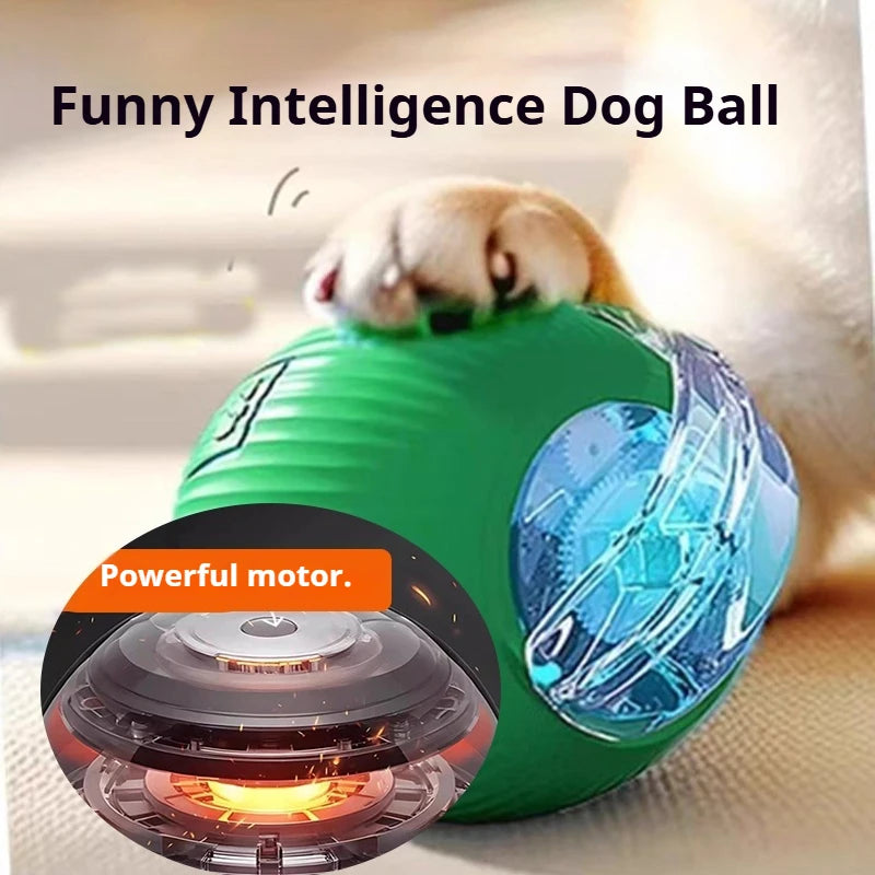 Balle sauteuse pour chien
