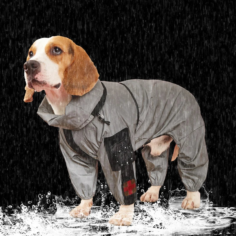 Grand imperméable pour chien