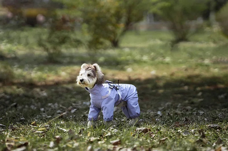 Imperméable avec harnais intégré pour chien