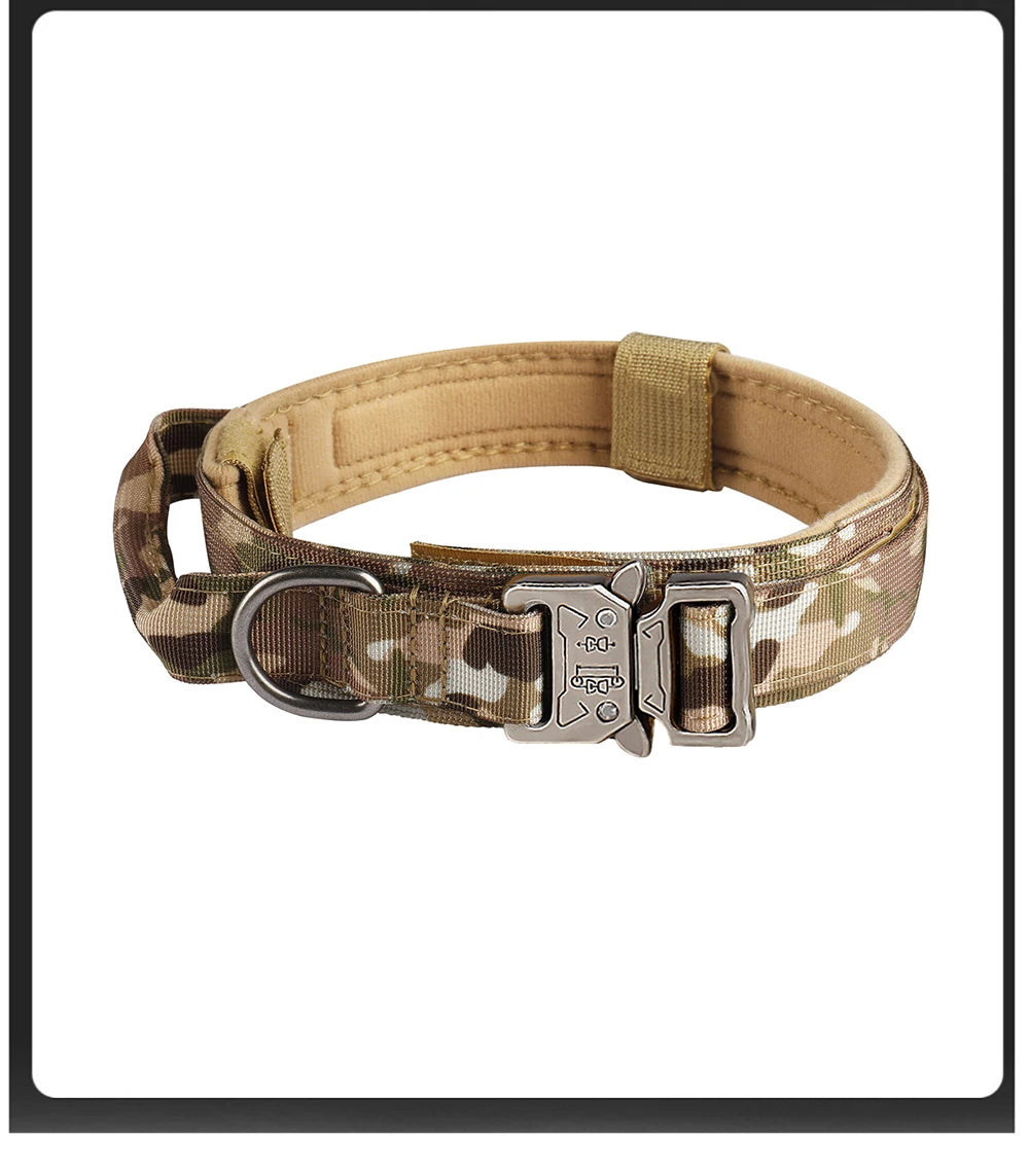 Collier tactique pour chien