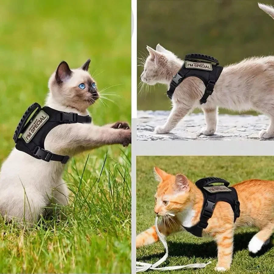 Tactical Cat Harness