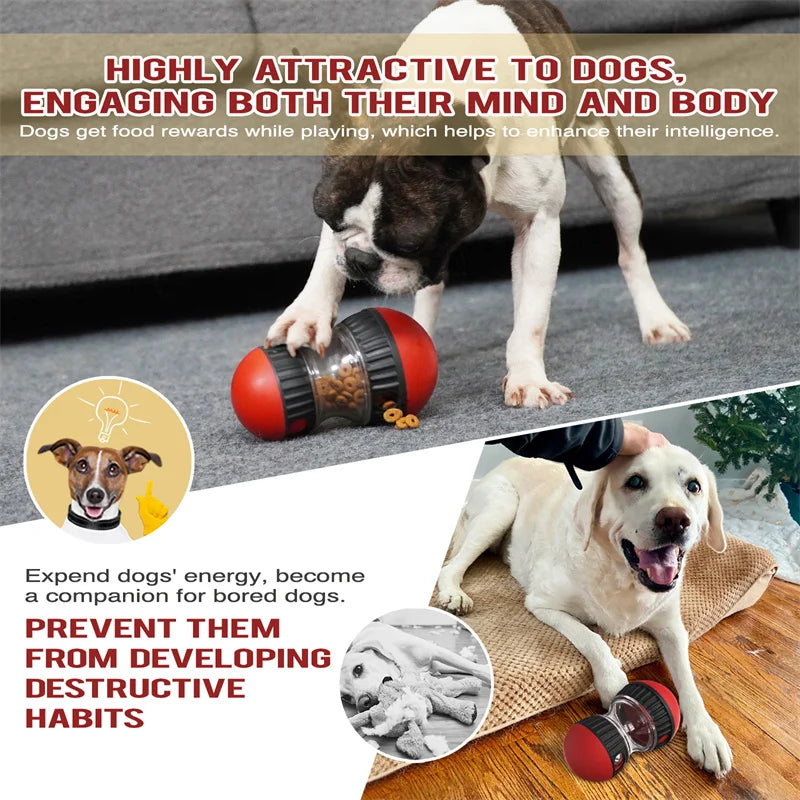 Jouet pour chien améliorant le QI