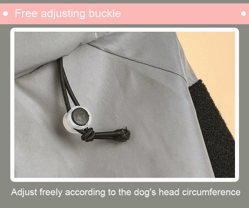 Grand imperméable pour chien