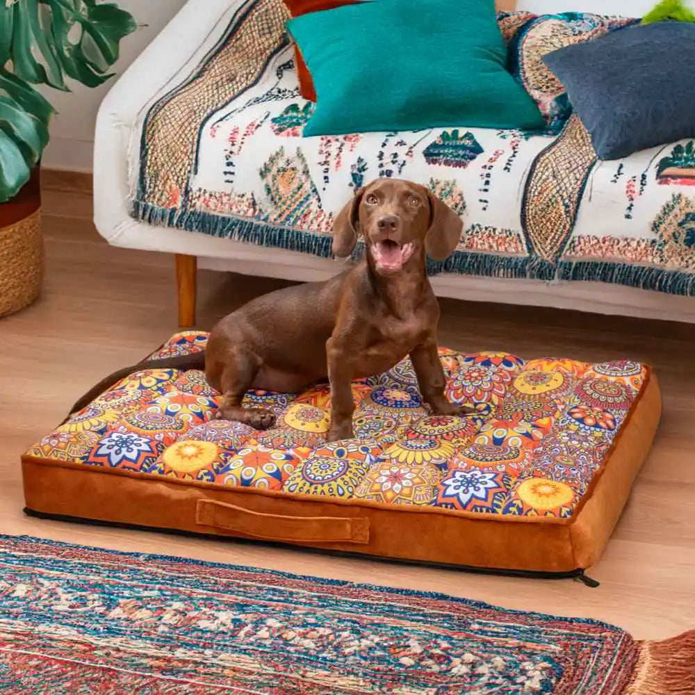 Panier orthopédique pour chien