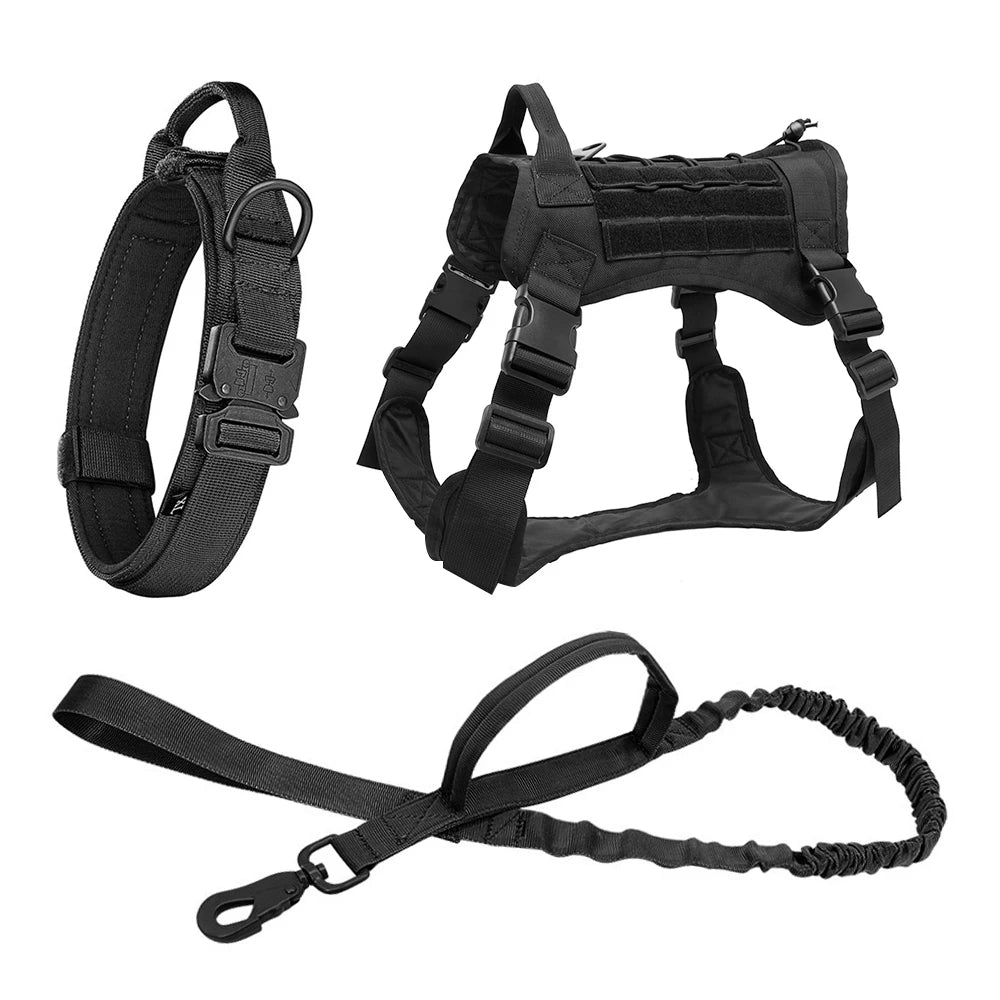 Kit tactique pour chien