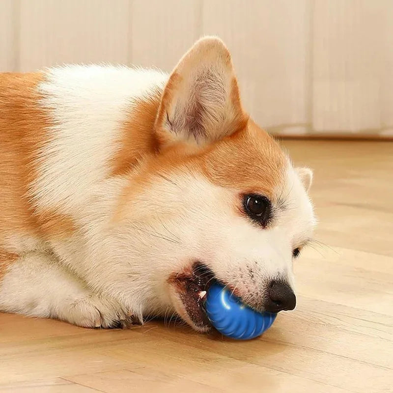 Balle intelligente pour chien