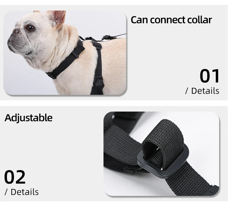 Chaussures imperméables pour chien