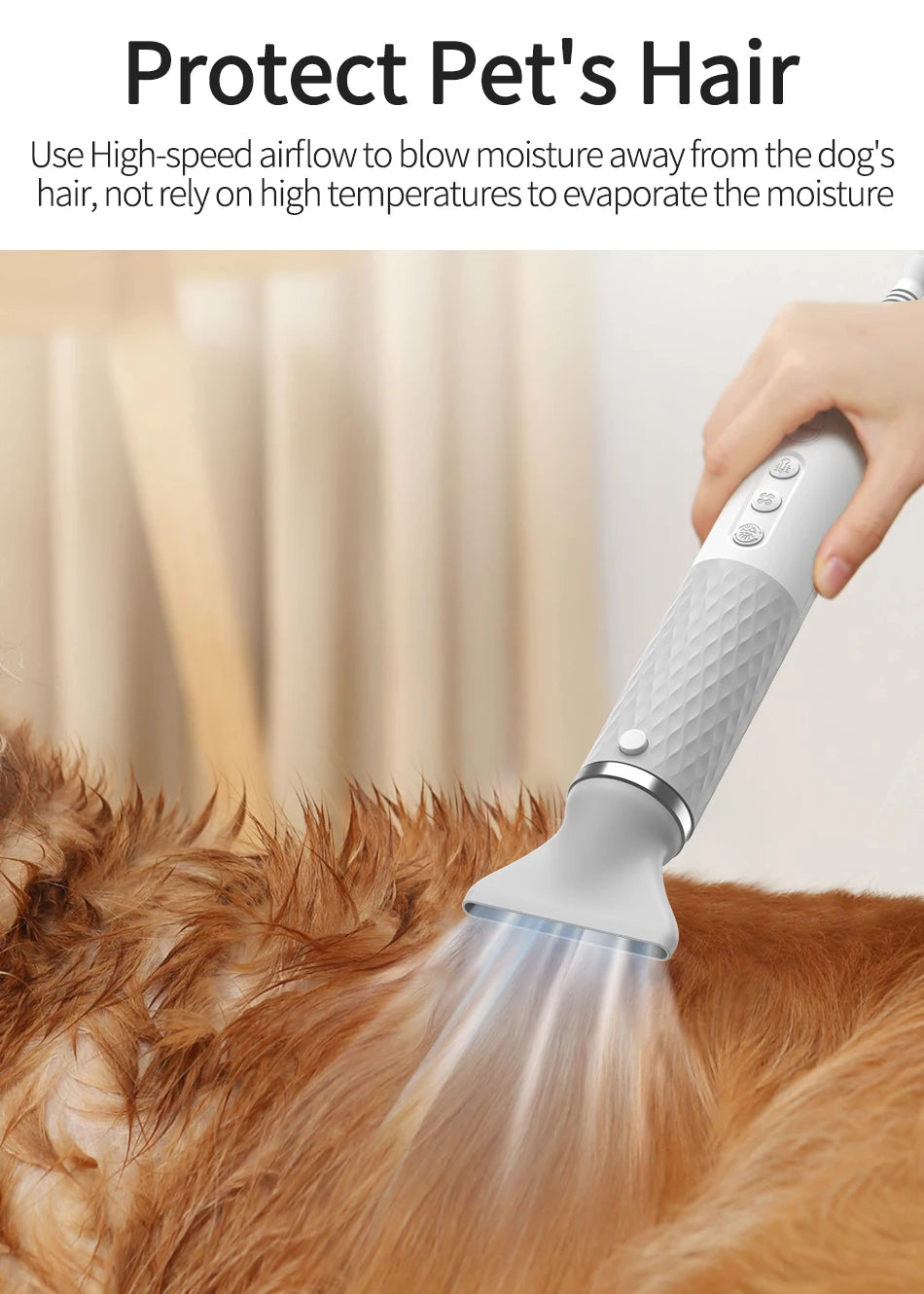 Sèche-cheveux et brosse de toilettage 2 en 1 pour animaux de compagnie