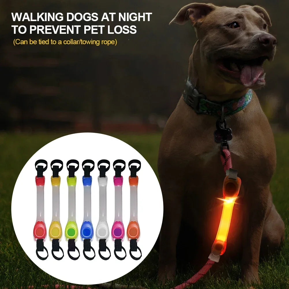 Glowing Dog Collar