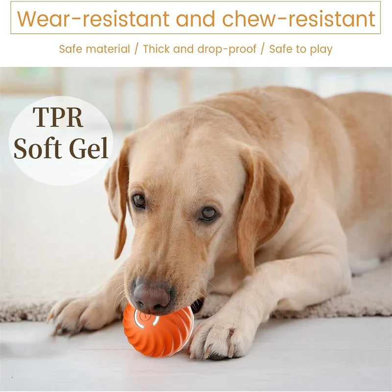 Balle intelligente pour chien