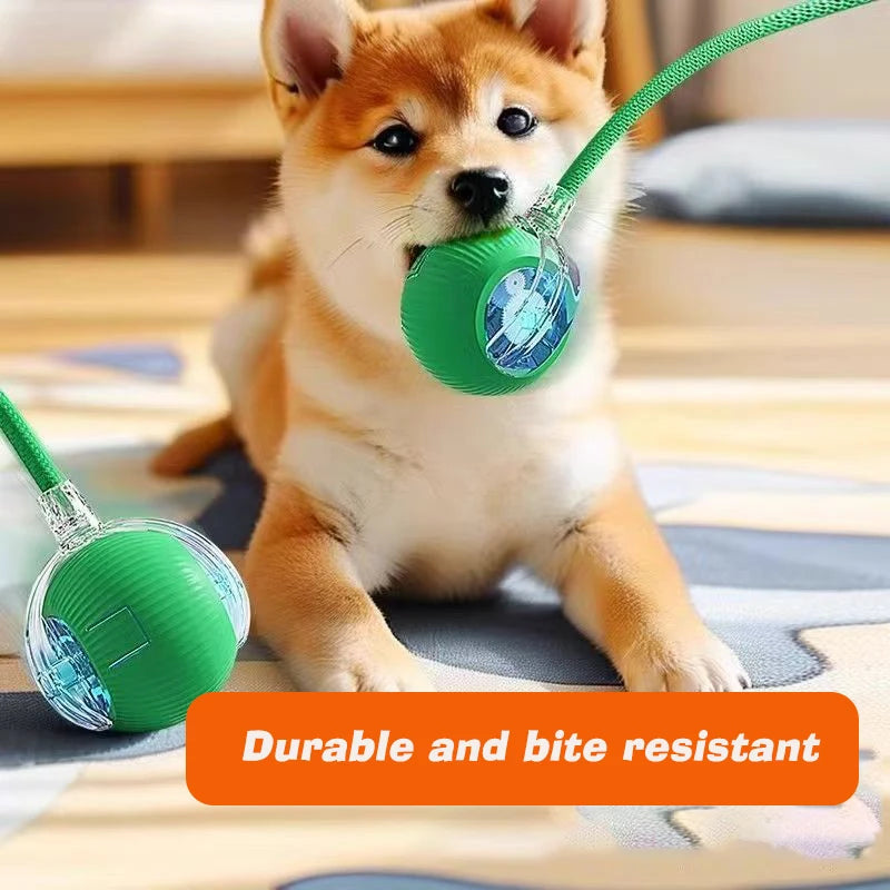 Balle sauteuse pour chien