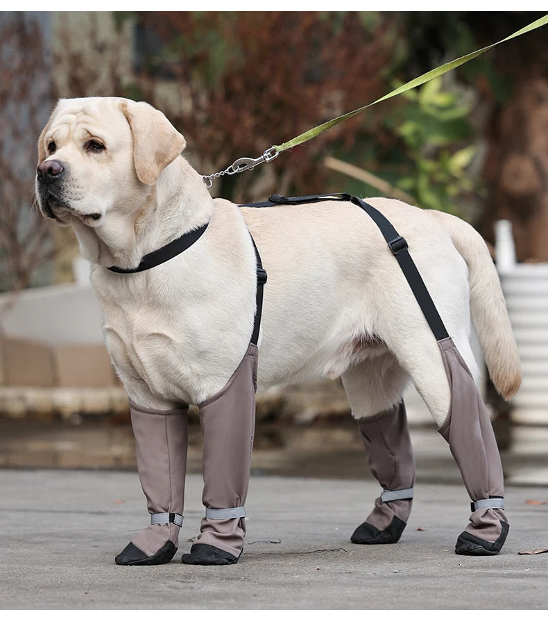 Chaussures imperméables pour chien