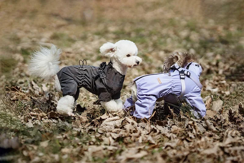 Imperméable avec harnais intégré pour chien